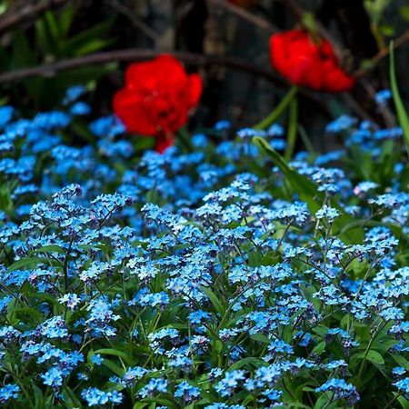 Ventspils Garden Houseアパートメント エクステリア 写真
